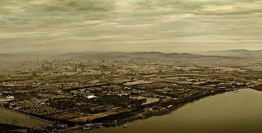 宝可梦卡牌插画大赛有选手涉嫌使用AI 被取消参赛资格